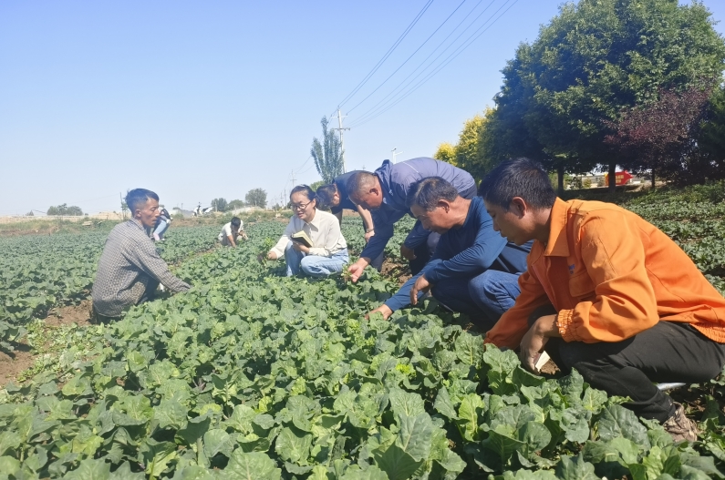 高台县巷道镇纪委工作人员深入田间地头向村民了解土地流转费发放情况.jpg