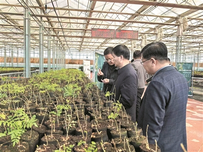 深度关注 | 推动筑牢北方生态安全屏障