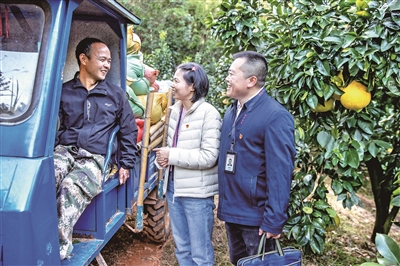 1764114728392289.jpg 6.jpg