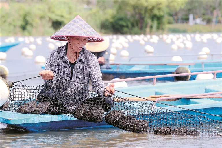 1765323584778970.jpg 223.jpg