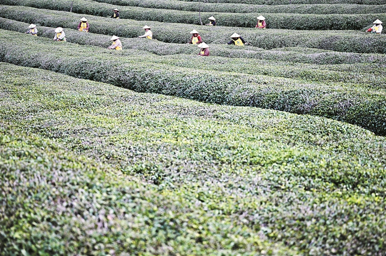 1765323594675210.jpg 224.jpg