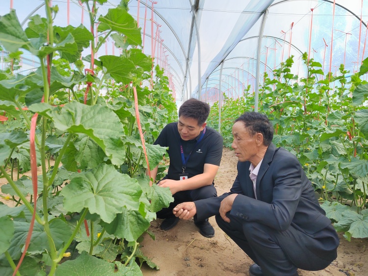 图为张掖市高台县合黎镇纪委工作人员结合群众身边不正之风和腐败问题集中整治，深入田间地头了解产业发展农民增收情况。.jpg