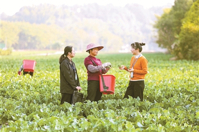 1767568900167383.jpg 11.jpg