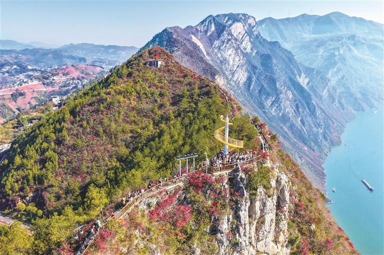 1768174230911837.jpeg 11.jpeg