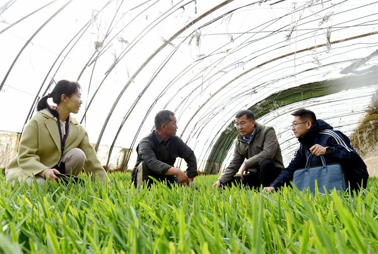 1768902214983767.png 山丹县纪检监察干部紧盯惠民惠农政策落实情况,把监督“探头”延伸到田间地头,走访群众了解春耕情况。(孙彩霞摄).png